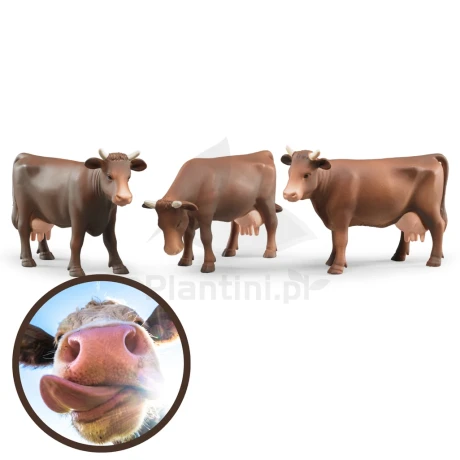 Przejdź do produktu Bruder BR-02308 Zestaw figurek krów brązowych (3 pozy)