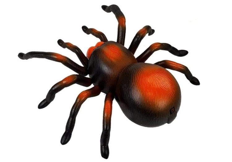 6945_3.jpg