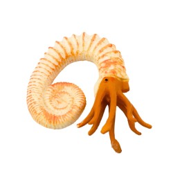 23294_6.jpg