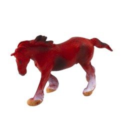 23300_3.jpg