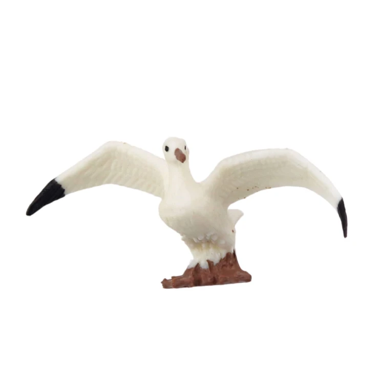 23309_2.jpg
